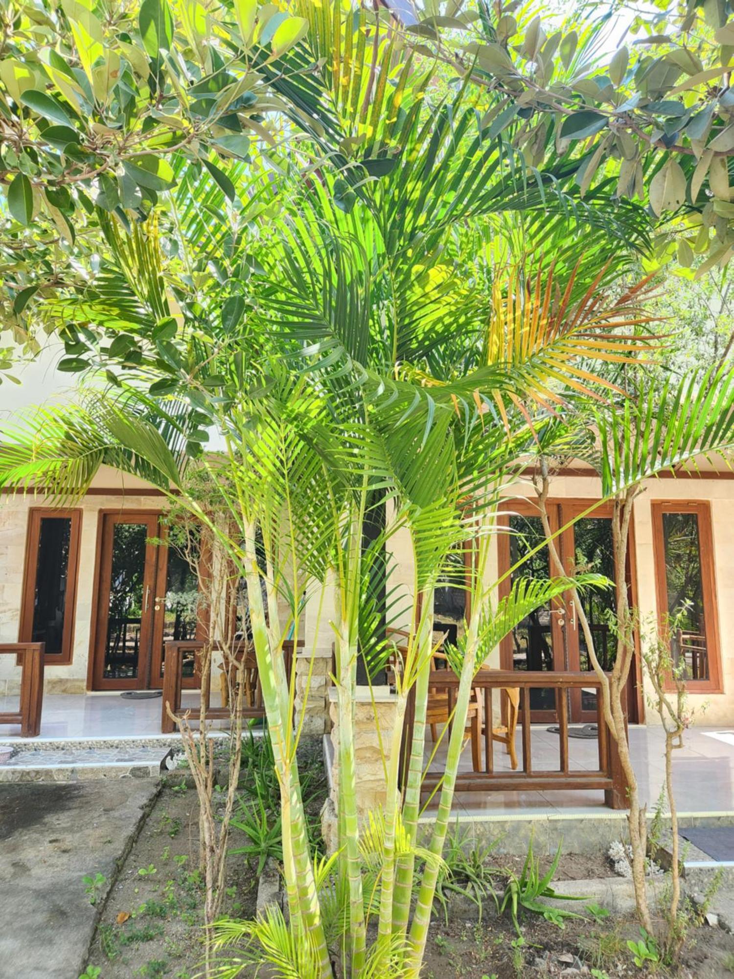 Apartamento Run Gilis Gili Meno Exterior foto